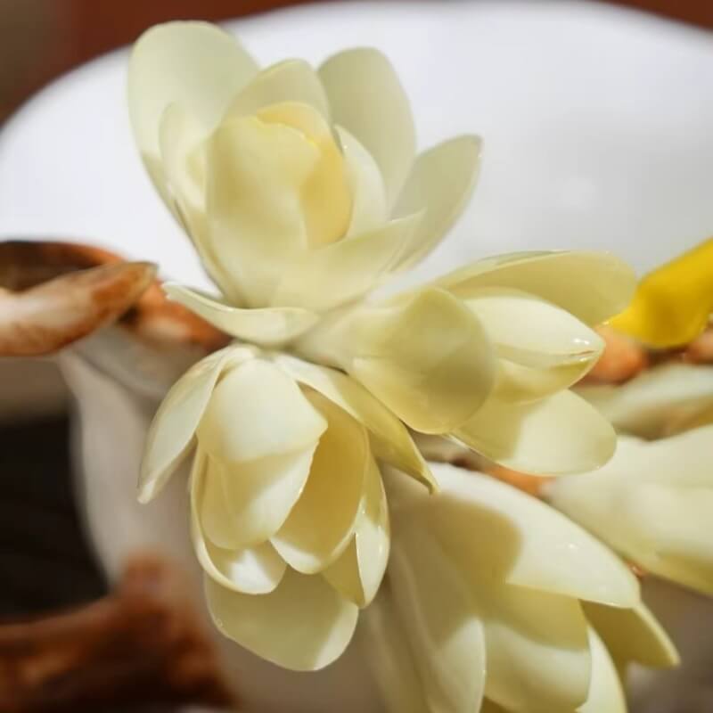 A06-198B-5 Sculpted Magnolia Art Mug